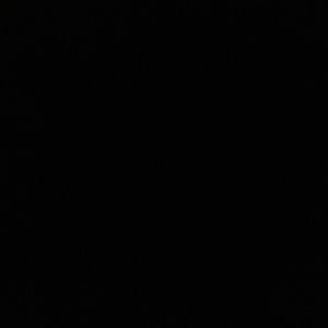 Meet your Posher, Kourtney